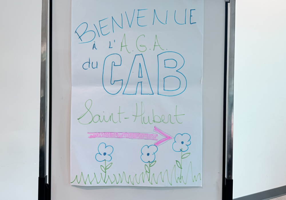 Une assembl&eacute;e g&eacute;n&eacute;rale sous le signe de l&rsquo;&eacute;lan au CABSH